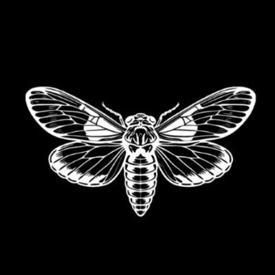 Cicada — Telegram game where you mine cicadas & earn big! Join the swarm. 🦗
🎮 Game https://t.co/ijv06q7v0D
📱📲Channel https://t.co/lMLKJxbwIX