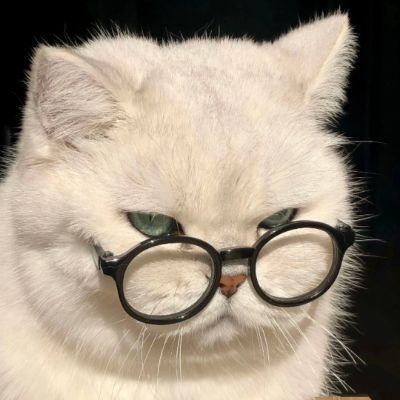 AizaHabib81292's profile picture. Take life as it comes!!