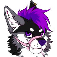 Vex_Wusky (@vexwusky) 's Twitter Profile