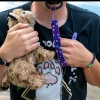 Diapee femboy (@pewpew_meowmeow) 's Twitter Profile