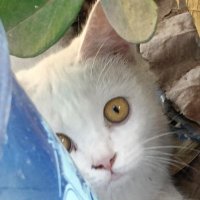 X_Paradox (@x__paradox) 's Twitter Profile