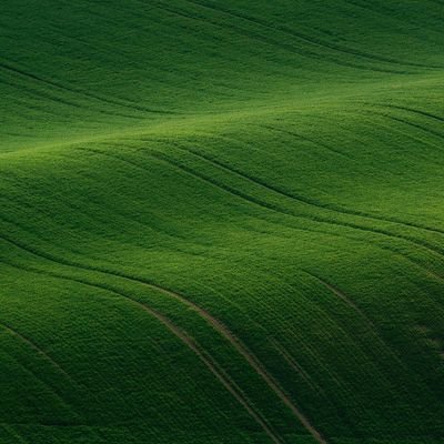 zhngpipi418577's profile picture. 