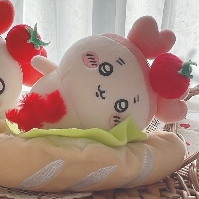 めるさんのプロフィール画像
