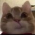 Buketsukusuu (@bbuketdoly) Twitter profile photo Buketsukusuu (@bbuketdoly) Twitter profile photo