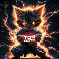 TON Cats Alpha (@toncats_alpha) 's Twitter Profile Photo