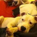 Jason gull - @swifyJay - Twitter