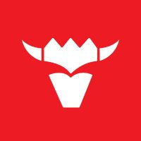 Bizon (@bizonstrategies) 's Twitter Profile