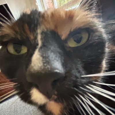 tomv1968's profile picture. 