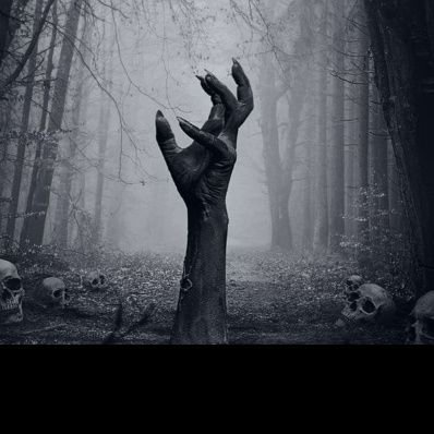 surviverug474's profile picture. 