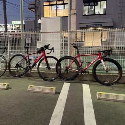 chihuahuanice's profile picture. 愛知