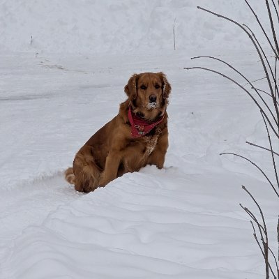 Reasoned_Speech's profile picture. Semi-retired builder Enjoy discourse, Veteran, I swore a lifetime oath to uphold and defend our Constitution. I believe in the USA.