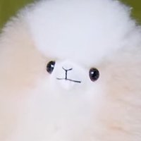 厠 (@chack_mlbb) 's Twitter Profile