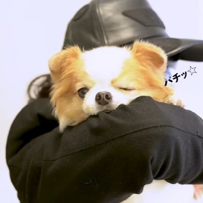 最後のリリイベでもっともっと😍✨に‼️金沢から応援しています
またぜ~ったい会いたいです😃
ToshI沼にどっぷりハマってしまった
🤞🤞