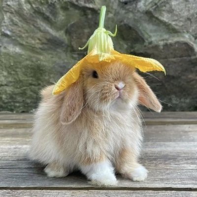 twohvns's profile picture. cold milk enjoyer