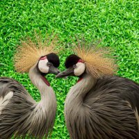 Innovative of Positive (@md1189199) 's Twitter Profile Photo