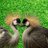 md1189199's profile image