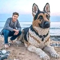 AnkaradanJack (@faciqlkill) 's Twitter Profile