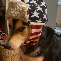 SailorPopeye (@ryannmclaughli6) 's Twitter Profile