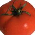your tomato (@lastaccplease) Twitter profile photo your tomato (@lastaccplease) Twitter profile photo