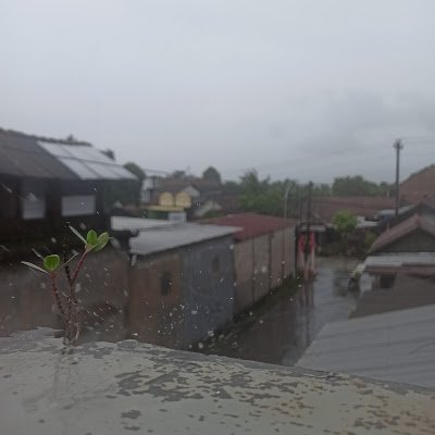 MaulanaMal77646's profile picture. 