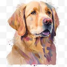 flarey342's profile picture. web surfer