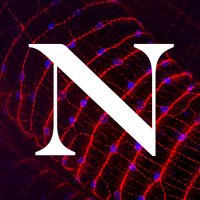 Northeastern COS (@northeasterncos) 's Twitter Profile