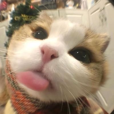 NgcThu22173813's profile picture. La Dolce Vita