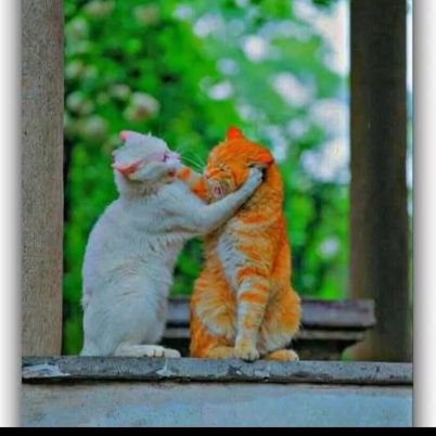 cryptosignal220's profile picture. crypto trader & investors since 2018
believe #bitcoin & crypto our future