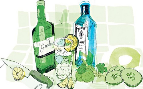 Gin is a drink highly undervalued in today's world of Jagerbombs and WKDs. The society aims to revive the appreciation of gin.