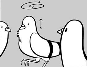 Patachedood's profile picture. Birbs lover 🪶 , beekeeper 🐝 in my spare time and dev Python 🐍 IRL.
I make amigurumi crochet and I am preparing a site to sell it, so stay tunned!