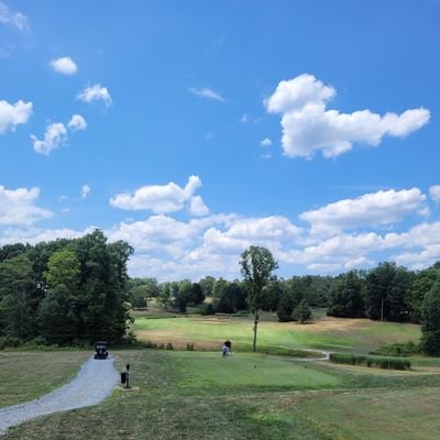 JetGoose's profile picture. 