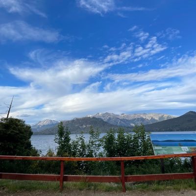 guisight's profile picture. 