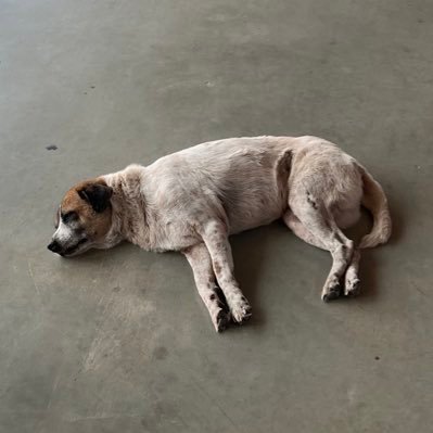 jaomhee_4's profile picture. 