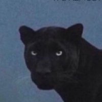 Riv (@rivtrades) 's Twitter Profile
