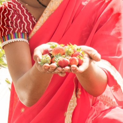 strawberry57671's profile picture. 