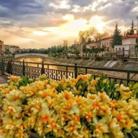 Burcu (@burcu_l_) 's Twitter Profile Photo