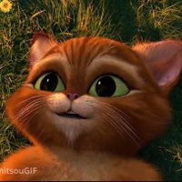 Mohamadreza (@l3fth4nd_) 's Twitter Profile