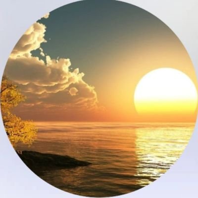 lamin172721's profile picture. 