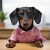 Matilda (@savvydachshunds) Twitter profile photo Matilda (@savvydachshunds) Twitter profile photo