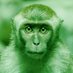 Jungle Jam ๐ด๐ ๏ธ (@junglejamgames) Twitter profile photo Jungle Jam ๐ด๐ ๏ธ (@junglejamgames) Twitter profile photo