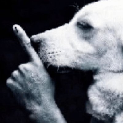 scarecrowww_'s profile picture. I haven't gone insane yet that's all what matters 🙏