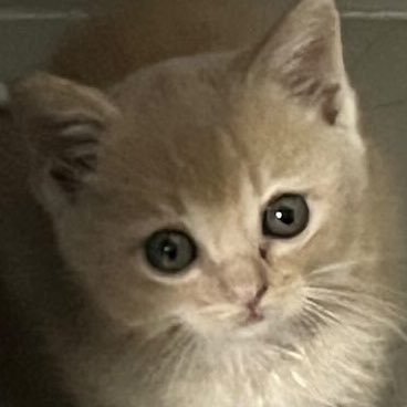 :3さんのプロフィール画像