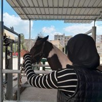 نغم 🦋 (@nagham511337213) Twitter profile photo