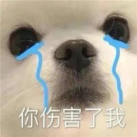 高质量的王 (@lsp520sss) 's Twitter Profile Photo