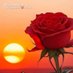 ABHISHEK YADAV (@abhishek070895) Twitter profile photo ABHISHEK YADAV (@abhishek070895) Twitter profile photo