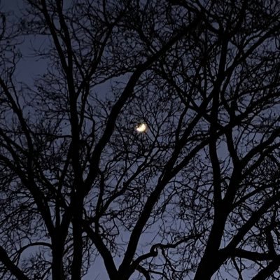 justxlou's profile picture. 