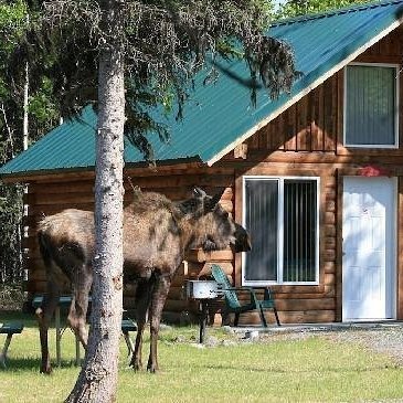Hunting and fishing lodge offering furnished cabins on Alaska's Kenai Peninsula. Book online or contact us for hunting, fishing, & adventure guide services.