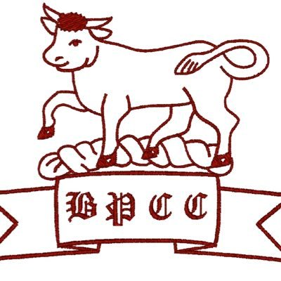 Official Twitter of Blagdon Park CC🐂 . Members of Northumberland & Tyneside. Based at Blagdon Hall Estate.