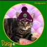 SoxandD's profile picture. Hi furends! we are Sox (Tabby) Daisy 🌈 Luna (Tuxie) also ginger bro Teddy 😻😺 *NO POLITICS * Here for anipals only 💗🐾#TabbyTroop #Hedgewatch 🌱 🇬🇧