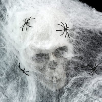 cobweb's profile picture. cobweb3